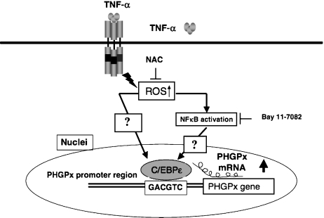 Fig. 3