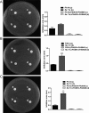 FIG 2