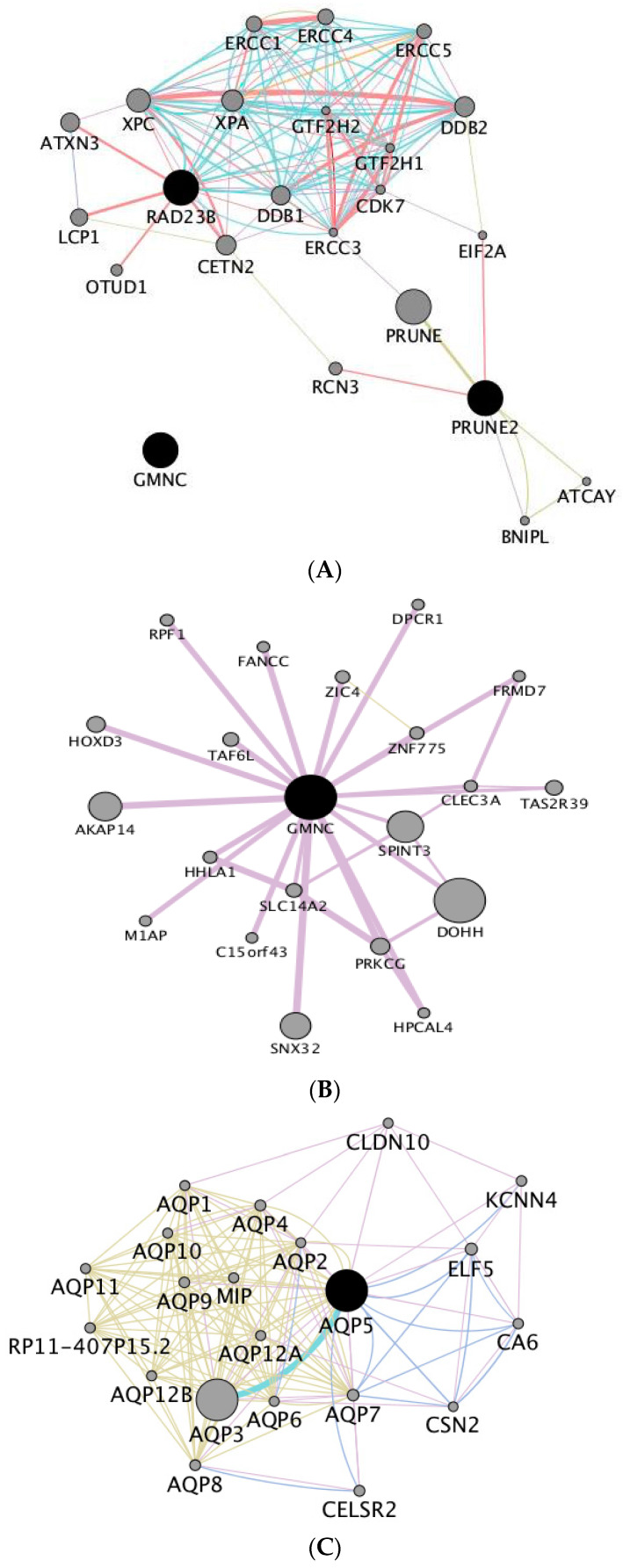 Figure 7