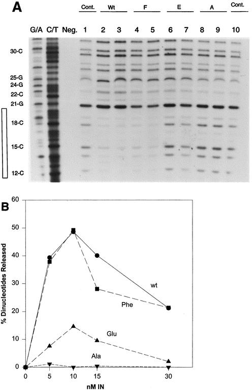 FIG. 8.