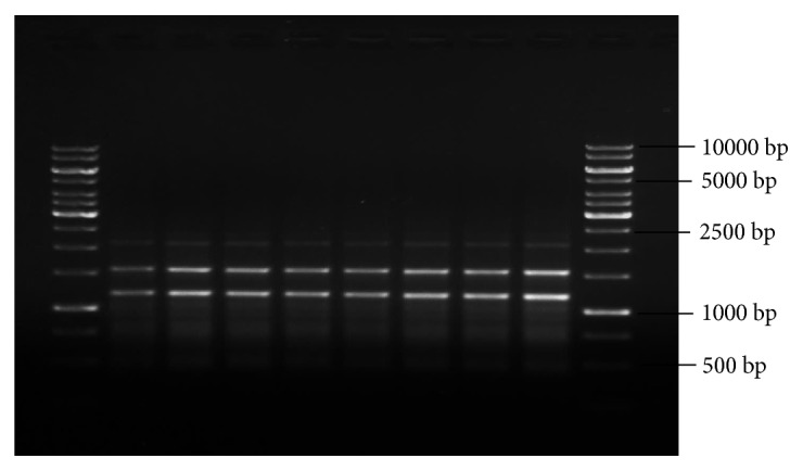 Figure 10