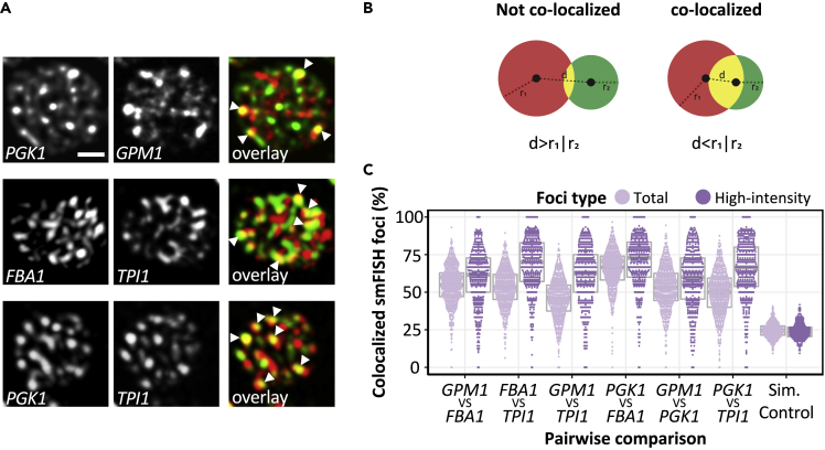 Figure 4