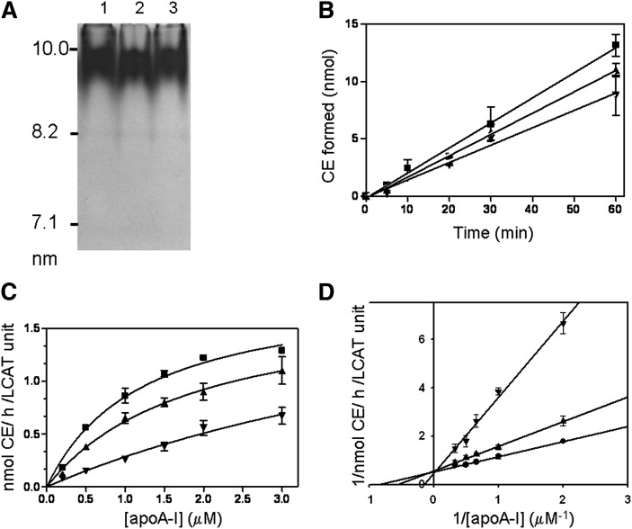 Fig. 9.