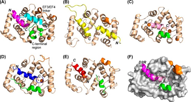 FIGURE 10.