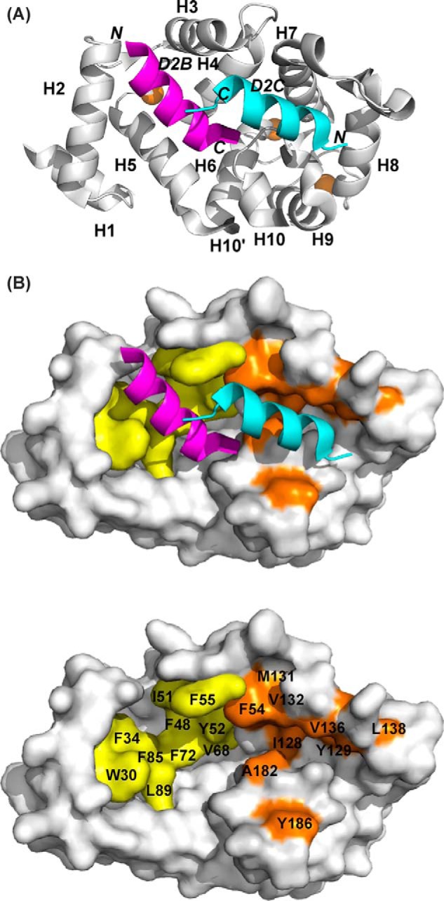 FIGURE 4.