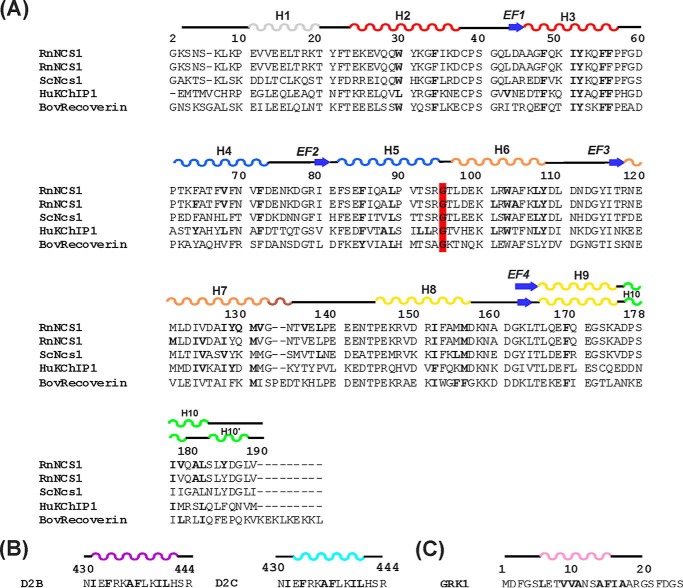 FIGURE 2.