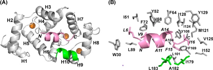 FIGURE 7.