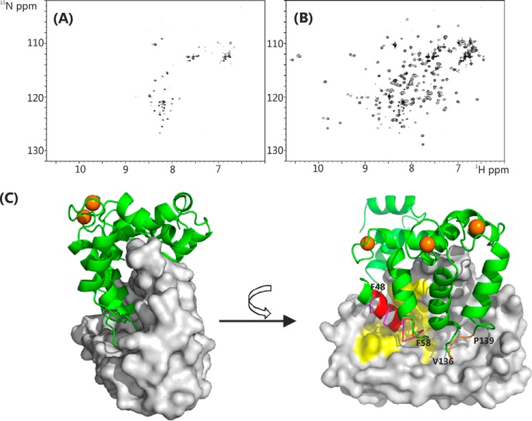 FIGURE 9.