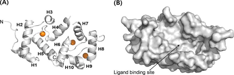 FIGURE 1.