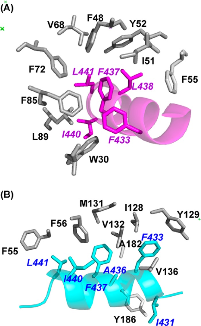 FIGURE 5.