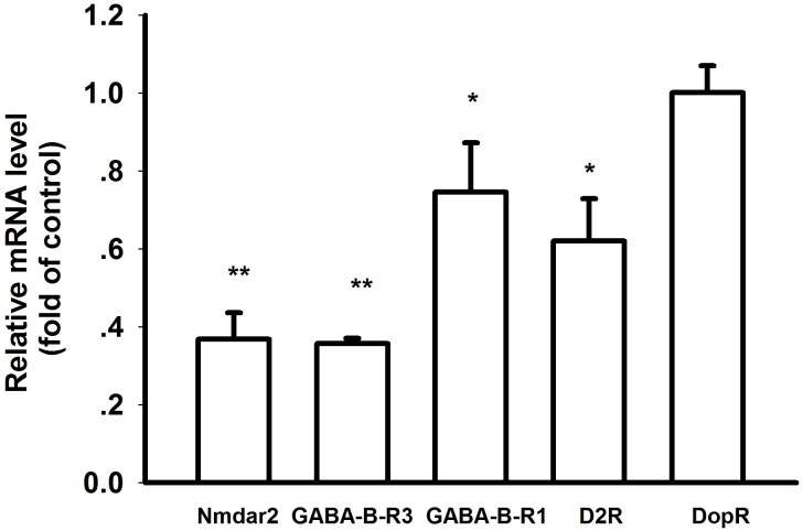 Fig 8