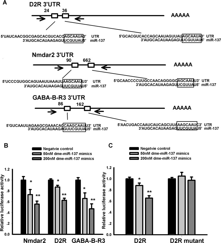 Fig 9