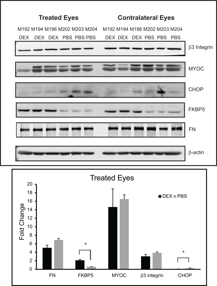 Fig 7