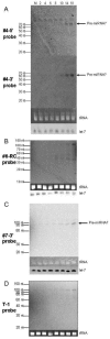 FIG. 6.