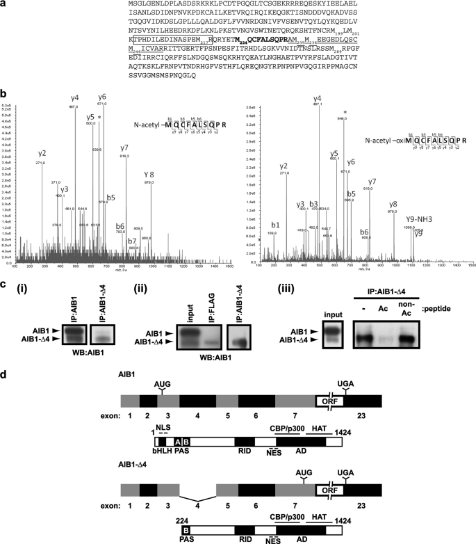 FIGURE 1.