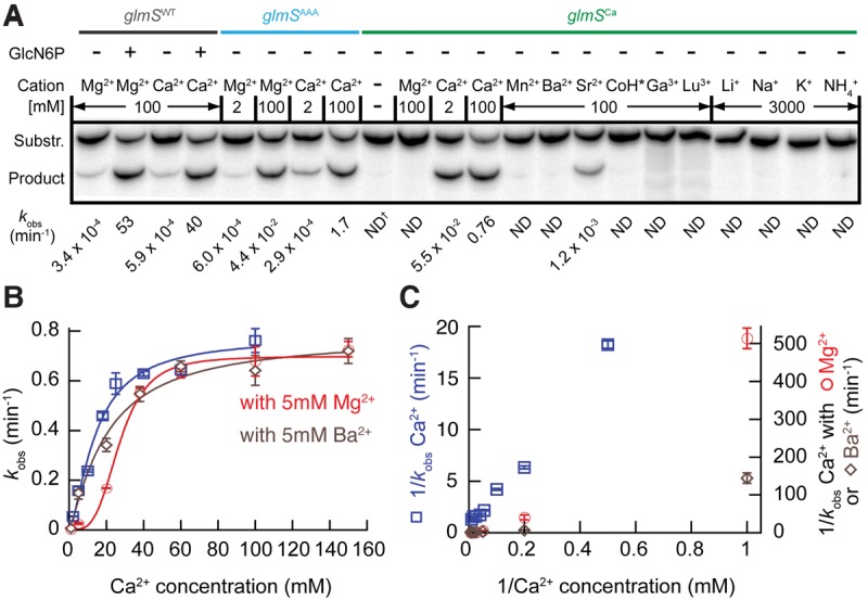 FIGURE 4.