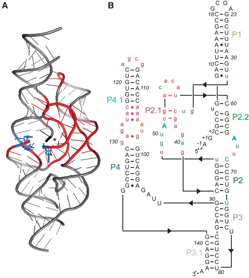 FIGURE 1.