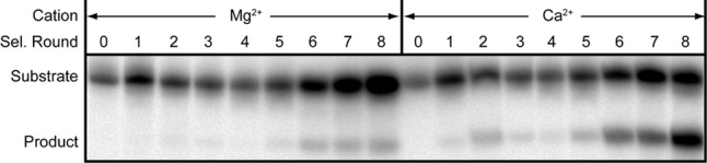 FIGURE 2.