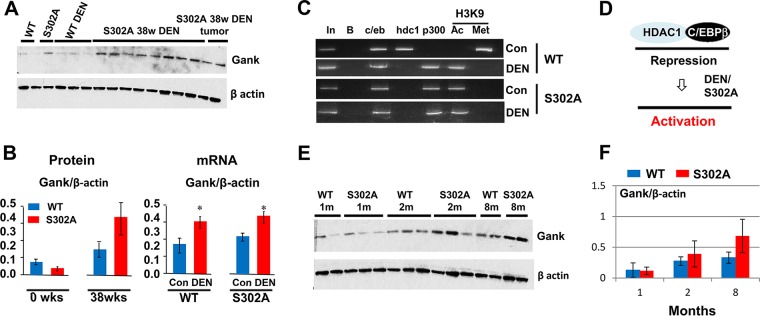 FIG 6