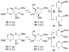 SCHEME 5