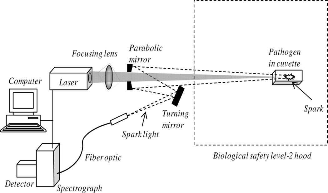 Fig. 1