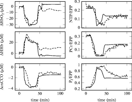 Fig. 45.4