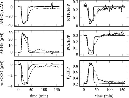 Fig. 45.3