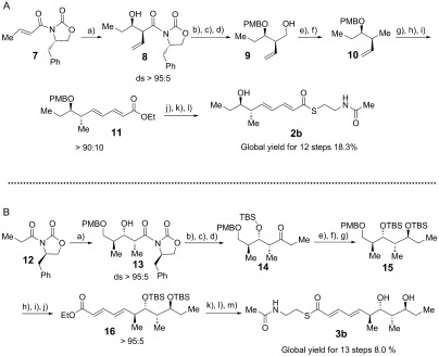 Scheme 3