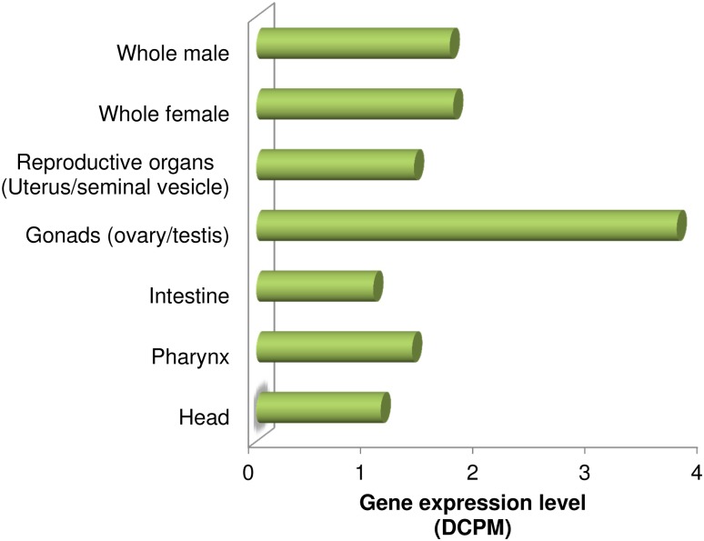 Fig 3