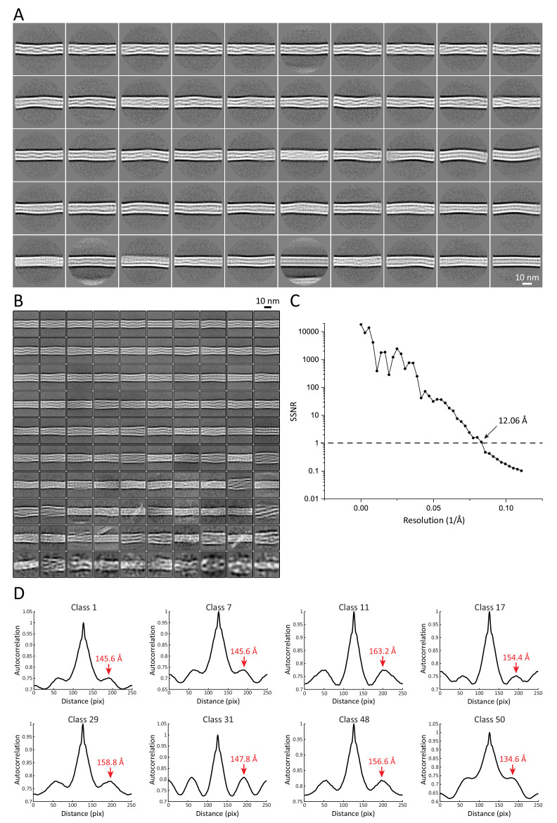 Figure 2—figure supplement 1.