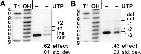 FIGURE 9.