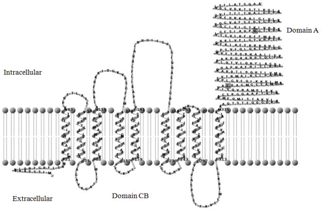 Fig. 2