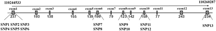 Fig. 1