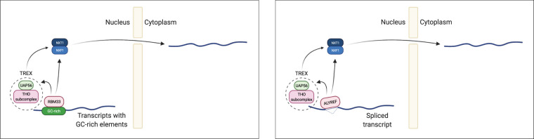 Figure 7.