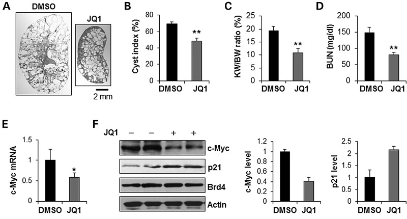 Figure 6.