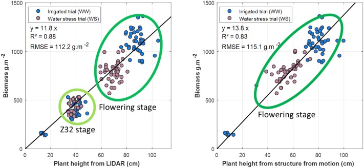 FIGURE 11