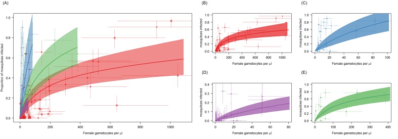 Figure 2—figure supplement 1.