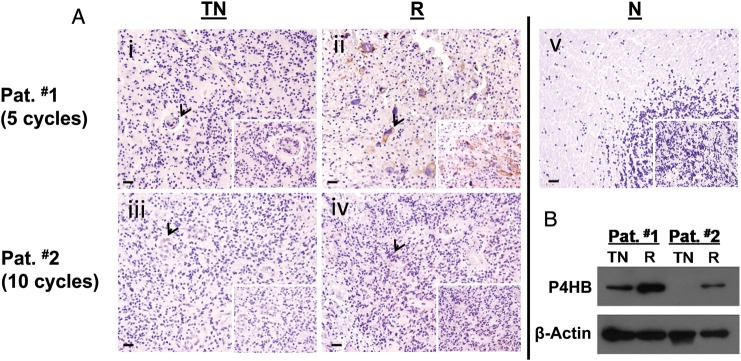 Fig. 2.