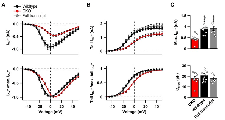 Figure 2—figure supplement 1.