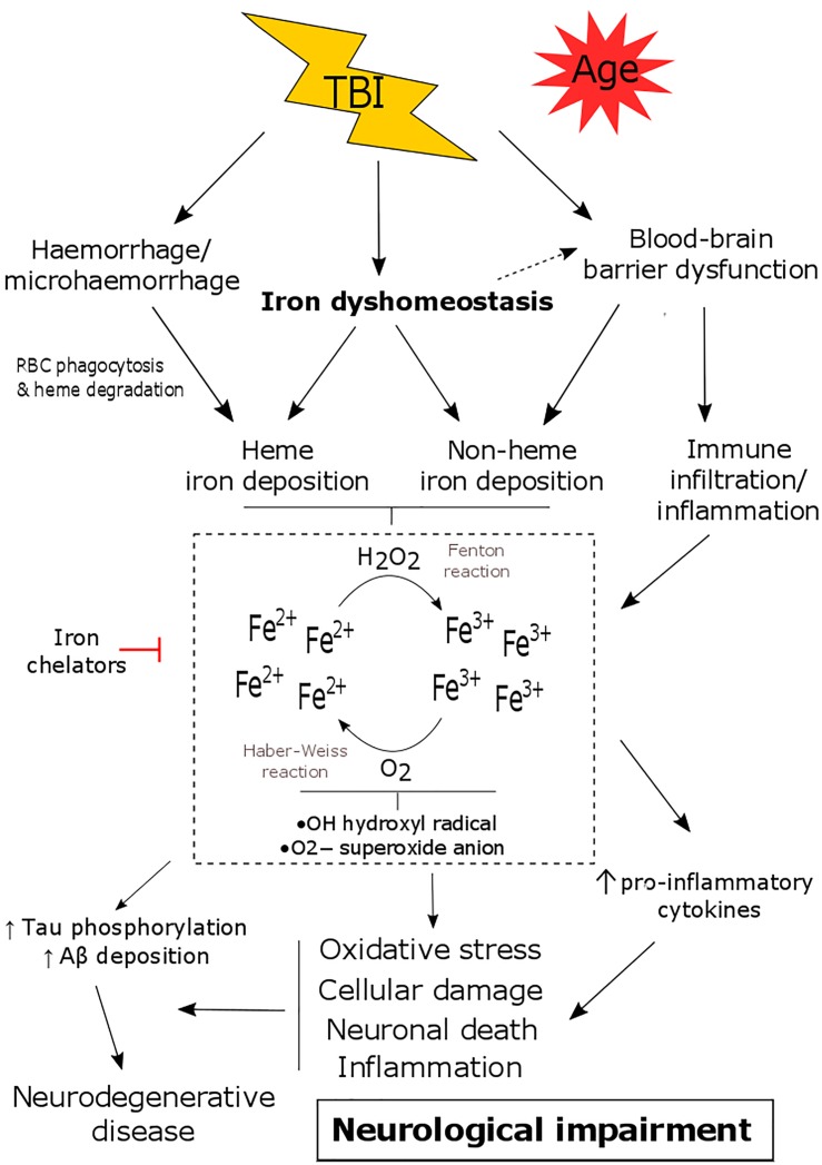 FIGURE 1