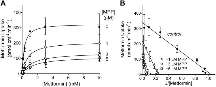 Fig. 8.