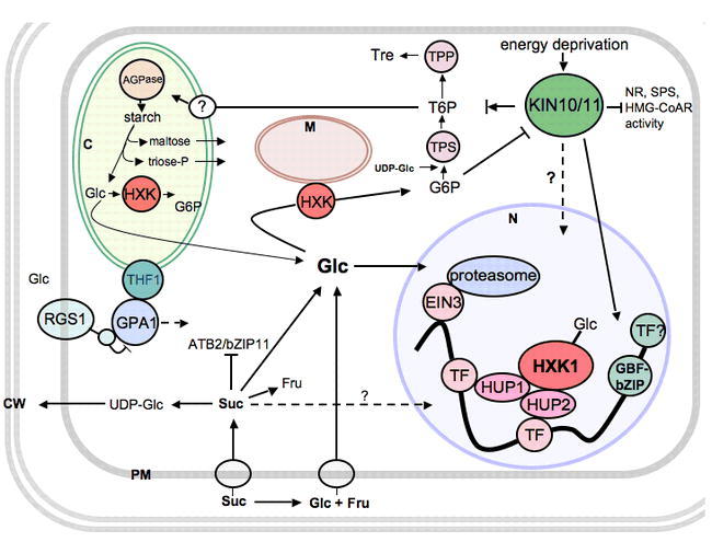 Figure 1.