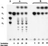 FIG. 8