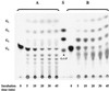 FIG. 7