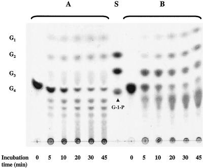 FIG. 7