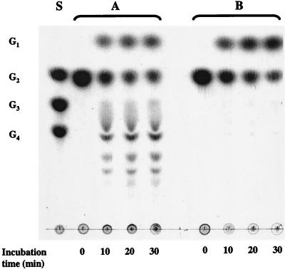 FIG. 8