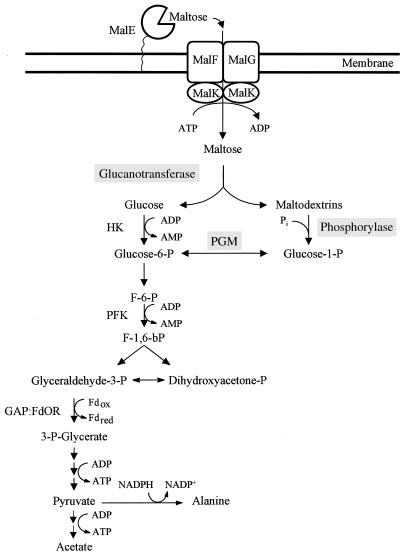 FIG. 9