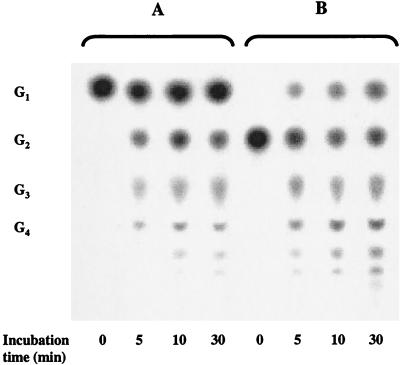 FIG. 4