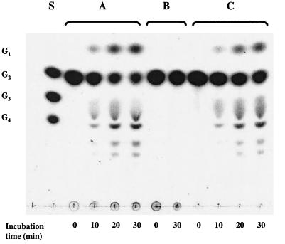 FIG. 1