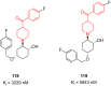 Figure 29